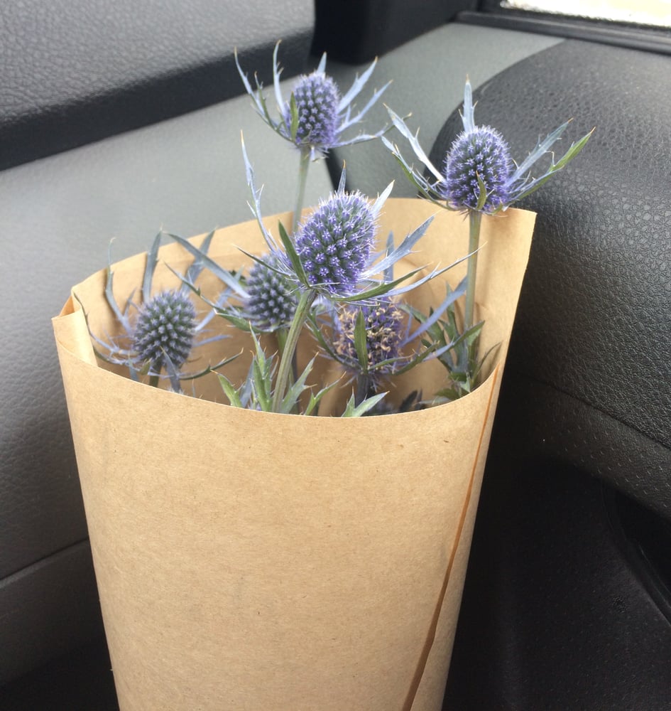 TWINE & TWIG Updated July 2024 2 Kent Street W, Lindsay, Ontario Florists Phone Number