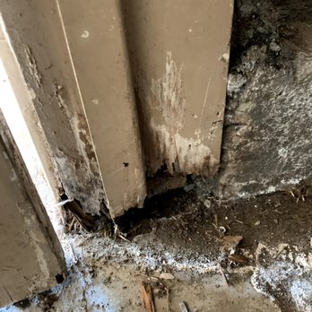 Contra Costa Termite Control - Before: damaged door jamb - Home Inspectors Near Me