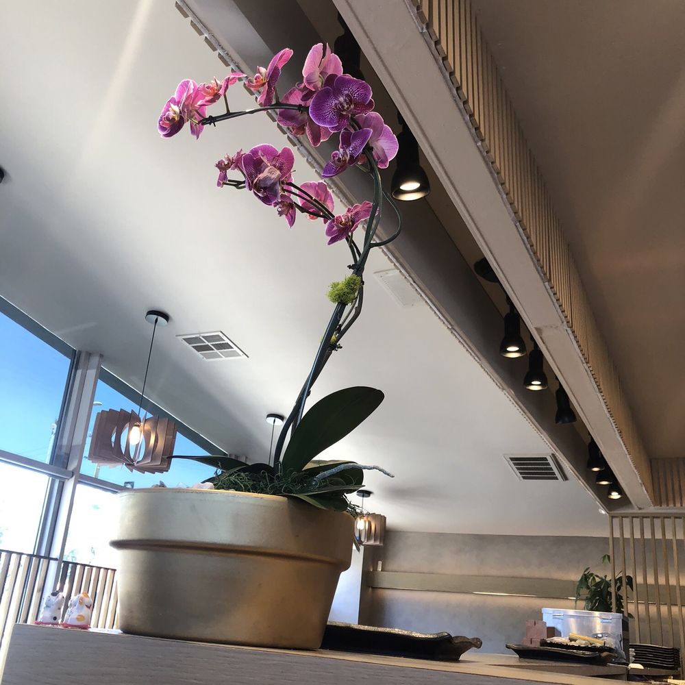 Akami Sushi - Sushi Bars Near Me - Arcadia, California Akami Sushi - Sushi Bars Near Me - Arcadia, California