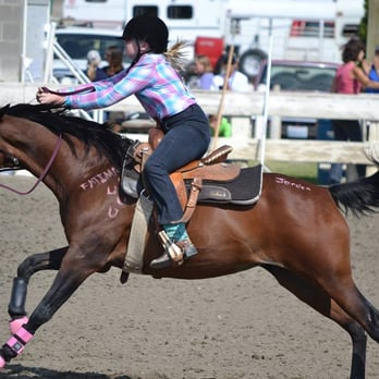 Tri Cities Horse Trainer - Gaming on a Lesson Horse. - Horseback Riding Near Me - Richland, Washington Tri Cities Horse Trainer - Gaming on a Lesson Horse. - Horseback Riding Near Me - Richland, Washington