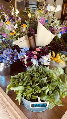 Velma's Farm Stand at Filigreen Farm by null