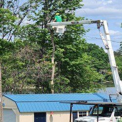 Stuckman Tree Experts