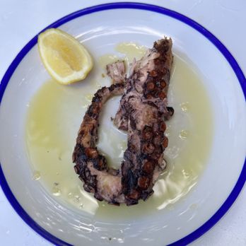 Mandolin Aegean Bistro - Octopus was delicious, portion was small for the price - Mediterranean Near Me - Miami, Florida