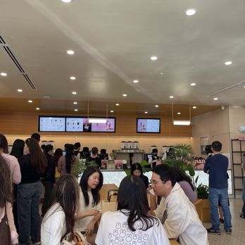 Molly Tea - Bubble Tea Near Me - Sunnyvale, California Molly Tea - Bubble Tea Near Me - Sunnyvale, California