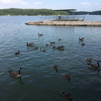 Lake Jacomo Marina - Duck food .50 - Marinas Near Me - Blue Springs, Missouri Lake Jacomo Marina - Duck food .50 - Marinas Near Me - Blue Springs, Missouri