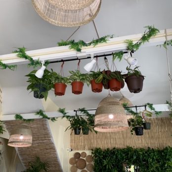Pamana Plantas - Things are looking up here - Nurseries & Gardening Near Me - Berkeley, California Pamana Plantas - Things are looking up here - Nurseries & Gardening Near Me - Berkeley, California