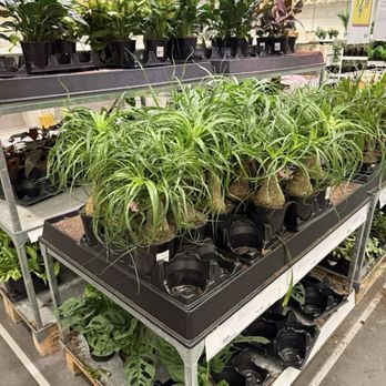 IKEA - Furniture Stores Near Me - Round Rock, Texas