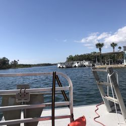 Swimming with the Manatees
