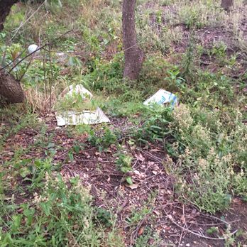 Beach Realty & Construction - Trash immediately beside house. C'mon! (Arcadia 4101 on 5/13/17) - Vacation Rentals Near Me - Kitty Hawk, North Carolina