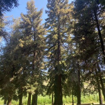 Carbon Canyon Regional Park - Parks Near Me - Brea, California