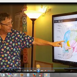 Oahu Osteopathic Clinic - Teaching Cranial Therapy at Quantum Institute