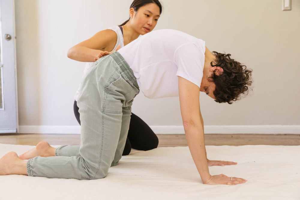 Elaine Oyang Yoga Therapy Logo