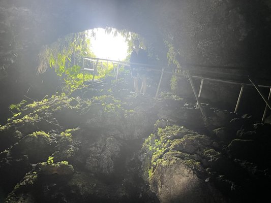 Hana Lava Tube by null