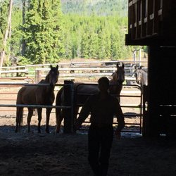 Cedarwood Equine