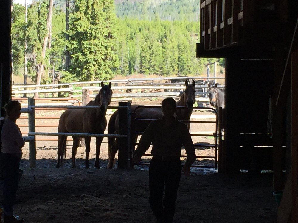 CEDARWOOD EQUINE Updated October 2024 3405 Stagecoach Rd, Durham, North Carolina Horseback