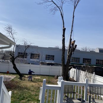 H & G Tree Experts - Tree Services Near Me - New City, New York H & G Tree Experts - Tree Services Near Me - New City, New York