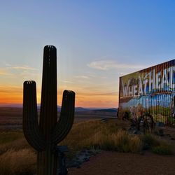 Wheat Head Brewing Co. - Outside sunset view