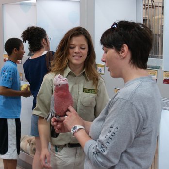 Petland Athens - Pet Stores Near Me - Athens, Ohio Petland Athens - Pet Stores Near Me - Athens, Ohio