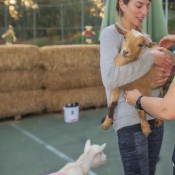 Sugar Sweet Farm - Attraction Farms Near Me