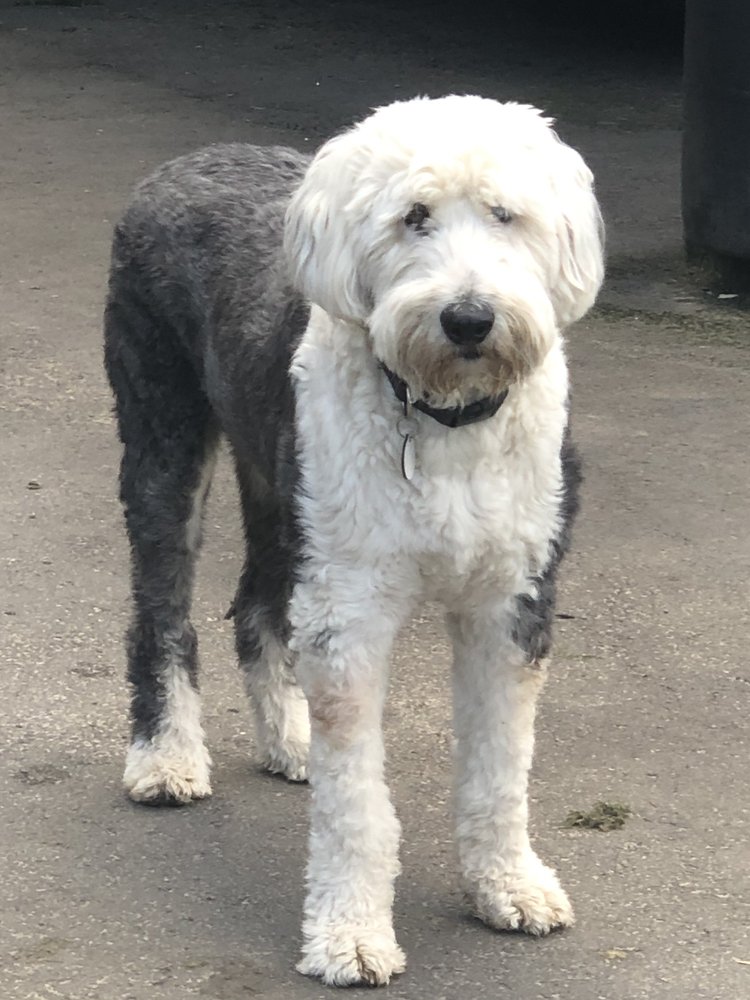 THE FARM AND GARDEN STORE Updated September 2024 20 Reviews 1922