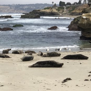 La Jolla Cove - La Jolla children's cove - Parks Near Me - La Jolla, California La Jolla Cove - La Jolla children's cove - Parks Near Me - La Jolla, California