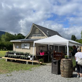 Silver Fox Lavender Farm - Venues & Event Spaces Near Me - Nellysford, Virginia Silver Fox Lavender Farm - Venues & Event Spaces Near Me - Nellysford, Virginia