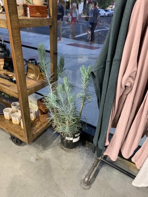 Makers Market by null