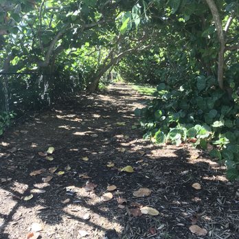 Jupiter Civic Center - Grassy/Mangrove area JSO Jupiter Civic Center - Venues & Event Spaces Near Me - Jupiter, Florida