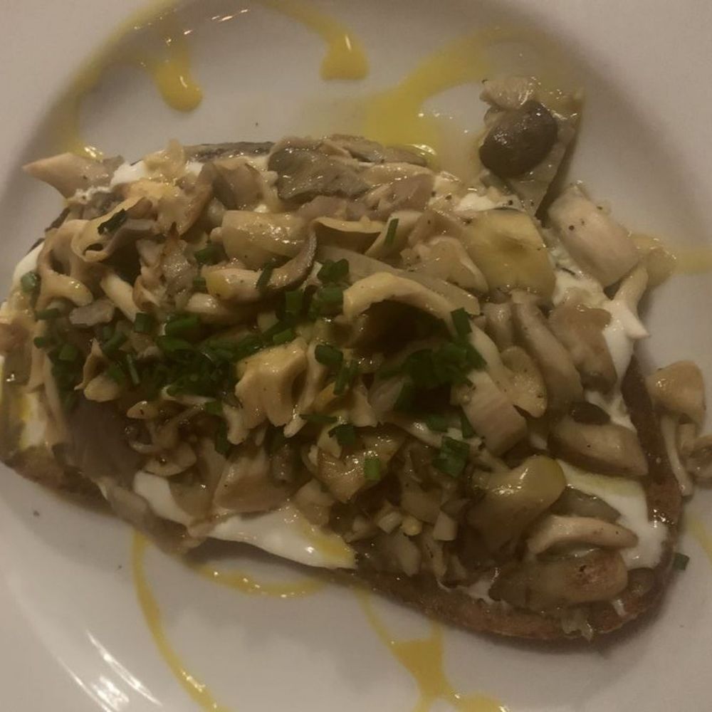 Mushroom toast with Goat cheese and enoki mushrooms Mushroom toast with Goat cheese and enoki mushrooms