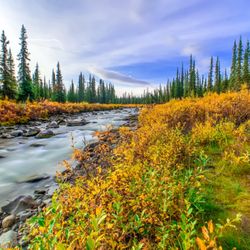 Alpine Campervans - Get out there and be amazed with Alaska's beauty!