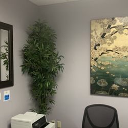 Dragonfly 360 Wellness - Lobby