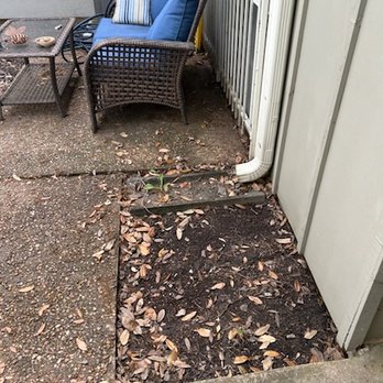 Danny's Landscaping - Before - Landscaping Near Me - Houston, Texas Danny's Landscaping - Before - Landscaping Near Me - Houston, Texas