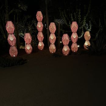 Desert Botanical Garden - Lights along the path. - Botanical Gardens Near Me - Phoenix, Arizona Desert Botanical Garden - Lights along the path. - Botanical Gardens Near Me - Phoenix, Arizona