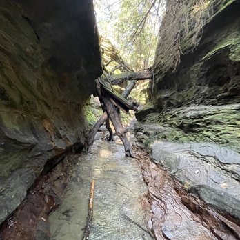 Turkey Run State Park - Parks Near Me - Marshall, Indiana
