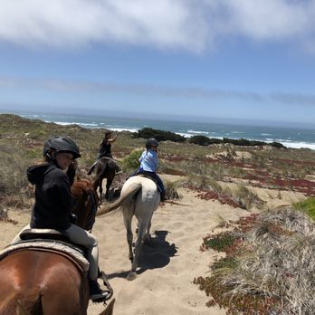 Chanslor Ranch - Amazing beach ride with Devon! - Guest Houses Near Me - Bodega Bay, California Chanslor Ranch - Amazing beach ride with Devon! - Guest Houses Near Me - Bodega Bay, California