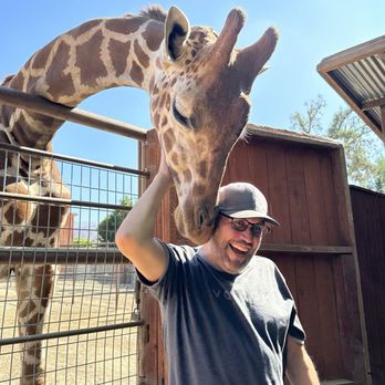 Wildlife Learning Center - Just the sweetest giraffe giving snuggles! - Zoos Near Me - Sylmar, California