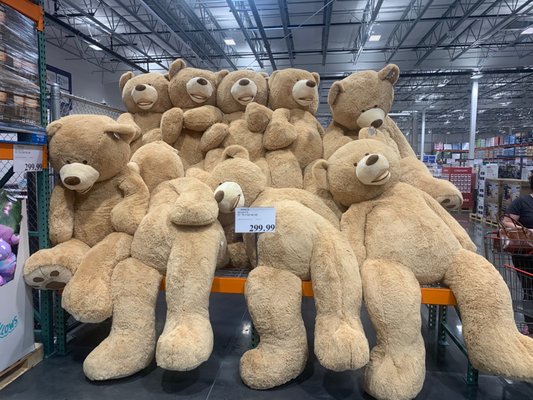 Costco Wholesale by null