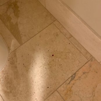Hotel Clariana - Blood on bathroom floor - Hotels Near Me - San Jose, California Hotel Clariana - Blood on bathroom floor - Hotels Near Me - San Jose, California