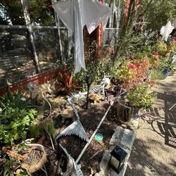 Possum Hollow Restaurant & Lodge - Halloween on the patio - 2025