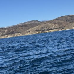Channel Islands Sportfishing
