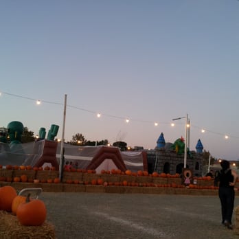 ABC Tree Farms - Christmas Trees Near Me - Temecula, California
