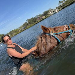 Carousel Sea Horses