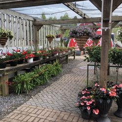 Allegiance Landscaping - Hanging baskets