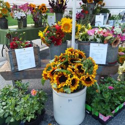 Sweethaven Farm & Flowers