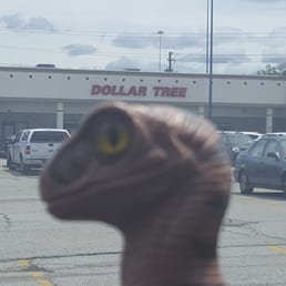 Bob the Raptor Says "Mammals come here to things for few paper rectangles."