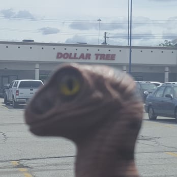 Dollar Tree - Bob the Raptor Says "Mammals come here to things for few paper rectangles." - Discount Store Near Me - Mayfield Heights, Ohio