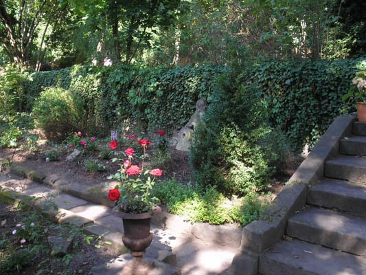 Hotel Villa Sorgenfrei by null