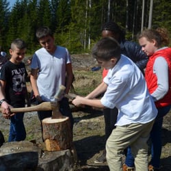 Der Ponyhof Familienhotel & Reitstall - Kinder helfen im Wald