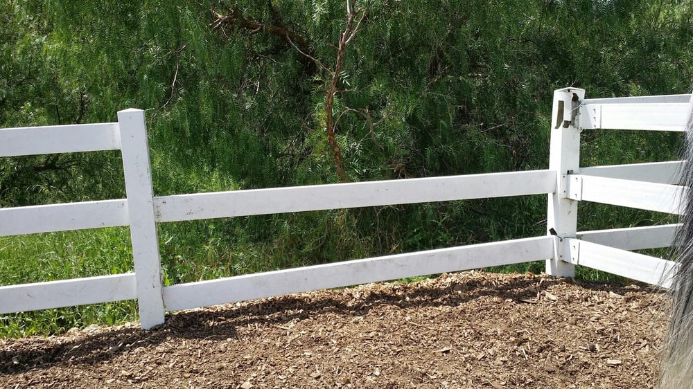 GRACELAND EQUESTRIAN CENTER Updated August 2024 28 Photos & 21