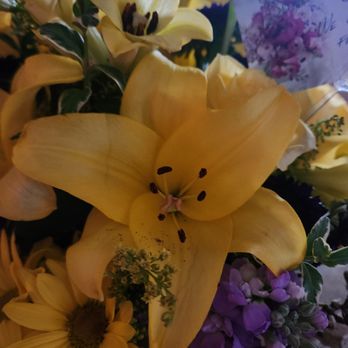 Blue Petals - Look at this! - Floral Designers Near Me - Hesperia, California